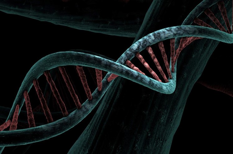 At-home DNA tests: when do you use one and how do they work?
